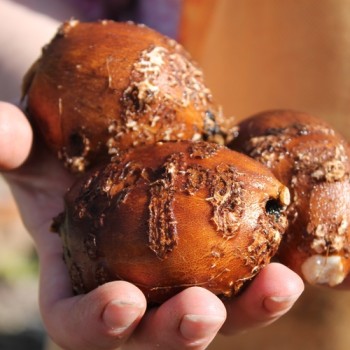 - Kopie - Kopie - Kopie