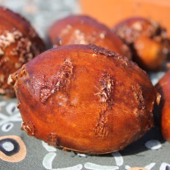 - Kopie - Kopie - Kopie