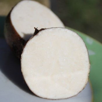 - Kopie - Kopie - Kopie