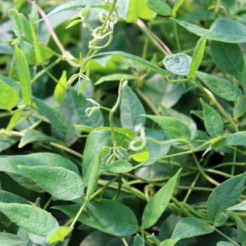 - Kopie - Kopie - Kopie