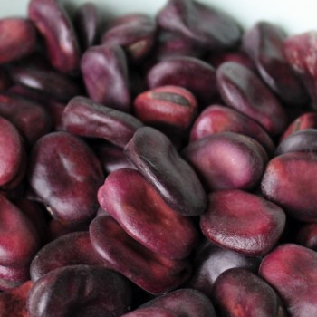 Puffbohne Extra Precoce a Grano Violetto (Samen)