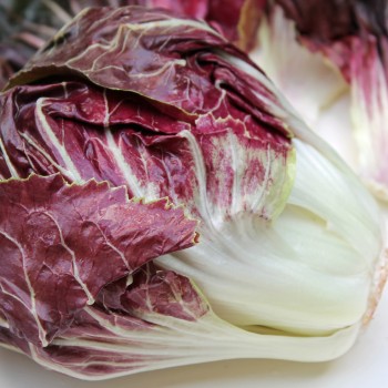 Radicchio Rossa di Verona (Samen)