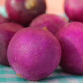 Radieschen Plum Purple (Samen)