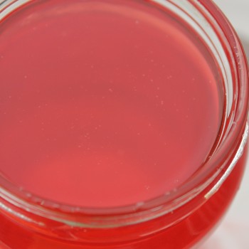 Rhabarber Canada Red (Pflanze)