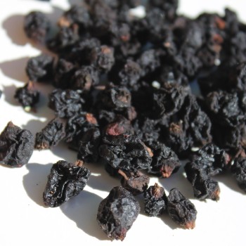 Johannisbeere Byelorussian Sweet (Pflanze)