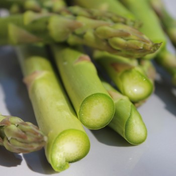 Spargel Mary Washington (Samen)