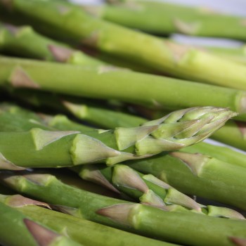 Spargel Mary Washington (Pflanze)