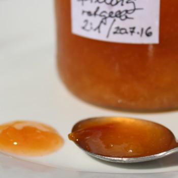 Spilling rot-gelb (Pflanze)