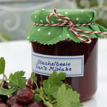 Stachelbeere Dan's Mistake (Pflanze)