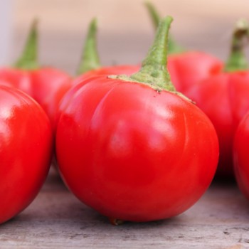 Aubergine Sweet Red (Samen)
