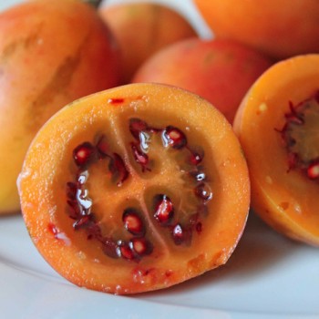 Tamarillo - Baumtomate orange (Samen)