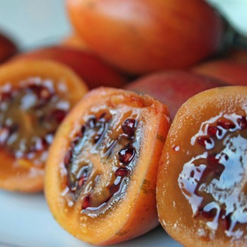 Tamarillo - Baumtomate orange (Samen)