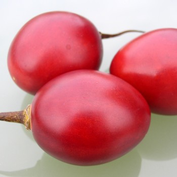 Tamarillo - Baumtomate rot (Samen)