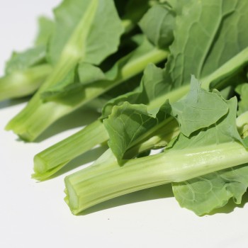 Blattkohl Tausendköpfiger Kohl (Samen)