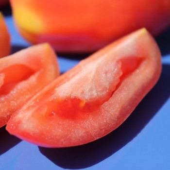 Tomate Bells of Russia (Samen)