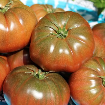 Tomate Black Krim (Samen)