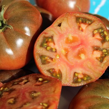 Tomate Black Krim (Samen)