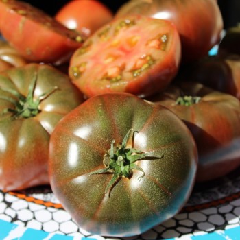 Tomate Black Krim (Samen)