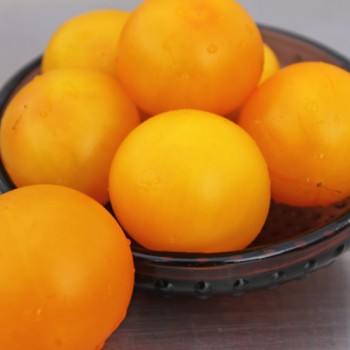 Tomate Blondköpfchen (Samen)