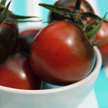Tomate Blue Chocolate (Samen)