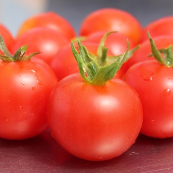 Tomate Ernteglück (Samen)