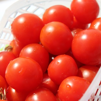 Tomate Ernteglück (Samen)