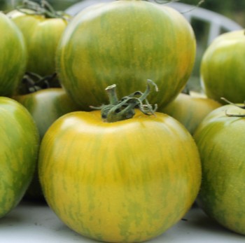Tomate Green Zebra (Samen)