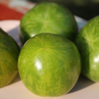 Tomate Green Zebra (Samen)