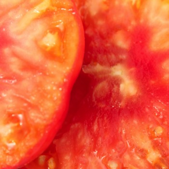 Tomate Hillbilly (Samen)
