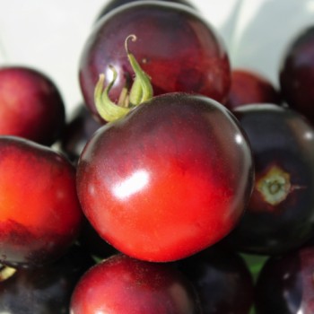 Tomate Indigo Rose (Samen)