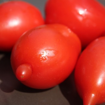 Tomate Legenda Tarasenko (Multiflora)  (Samen)