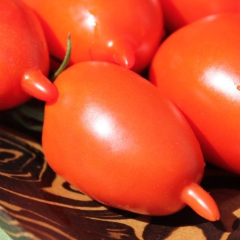 Tomate Legenda Tarasenko (Multiflora)  (Samen)