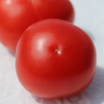Tomate Rotkäppchen (Buschtomate) (Samen)