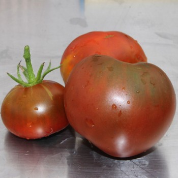 Tomate Schwarze Swetlana (Samen)