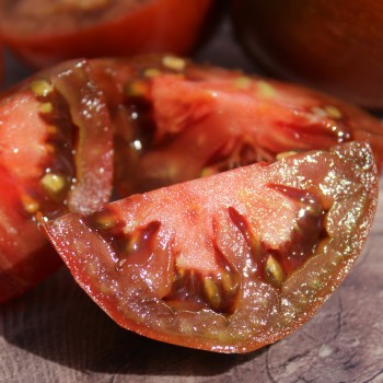Tomate Schwarze Swetlana (Samen)