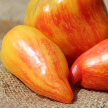 Tomate Yellow Fire (Samen)