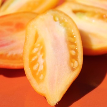 Tomate Yellow Fire (Samen)