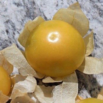 Tomatillo Amarylla (Samen)