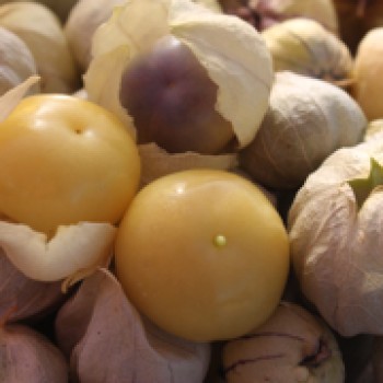 Tomatillo Diiwwii Of (Samen)