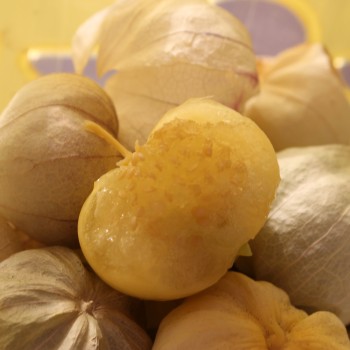 Tomatillo Diiwwii Of (Samen)