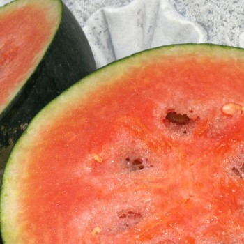 Wassermelone Blacktail Mountain