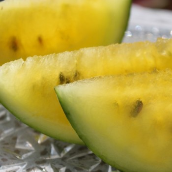 Wassermelone Petit Yellow (Samen)