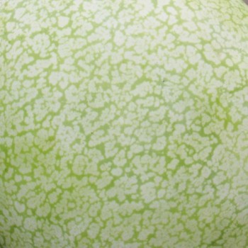 Wassermelone Ali Baba (Samen)