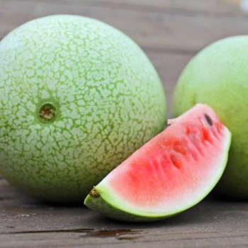 Wassermelone Ali Baba (Samen)