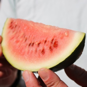 Wassermelone Art Combe's Ancient (Samen)