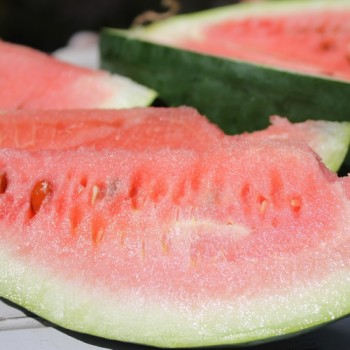 Wassermelone Art Combe's Ancient (Samen)