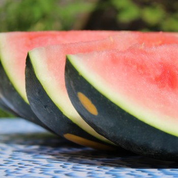 Wassermelone Moon and Stars (Samen)