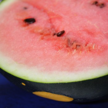 Wassermelone Moon and Stars (Samen)