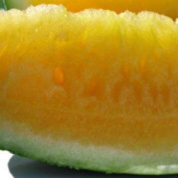 Wassermelone Mountain Sweet Yellow