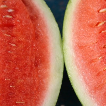 Wassermelone Strawberry (Samen)